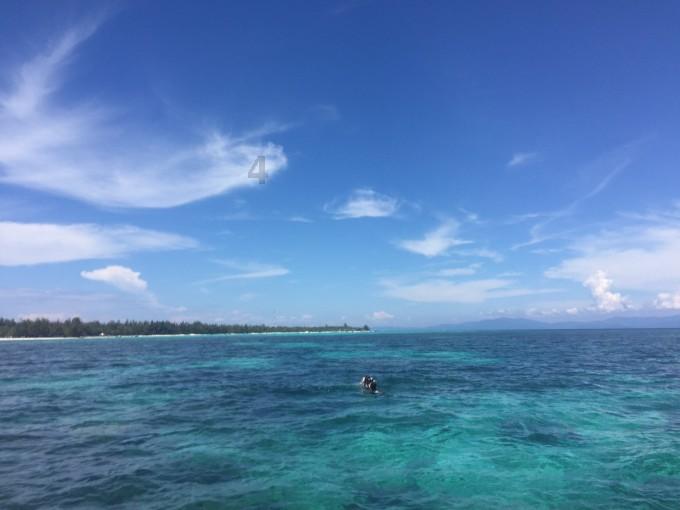 海南手串糠梨油梨紫油梨手串如何选择？