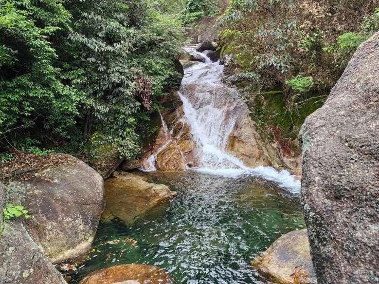 业绩预告露寒意 芯片厂商忙自救