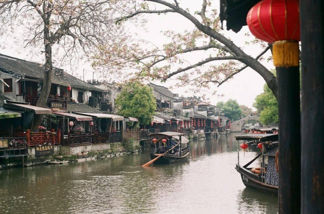 除虫大师